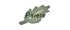 Pavers