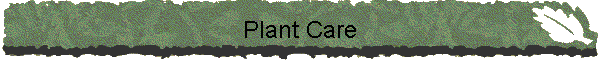 Plant Care