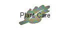 Plant Care